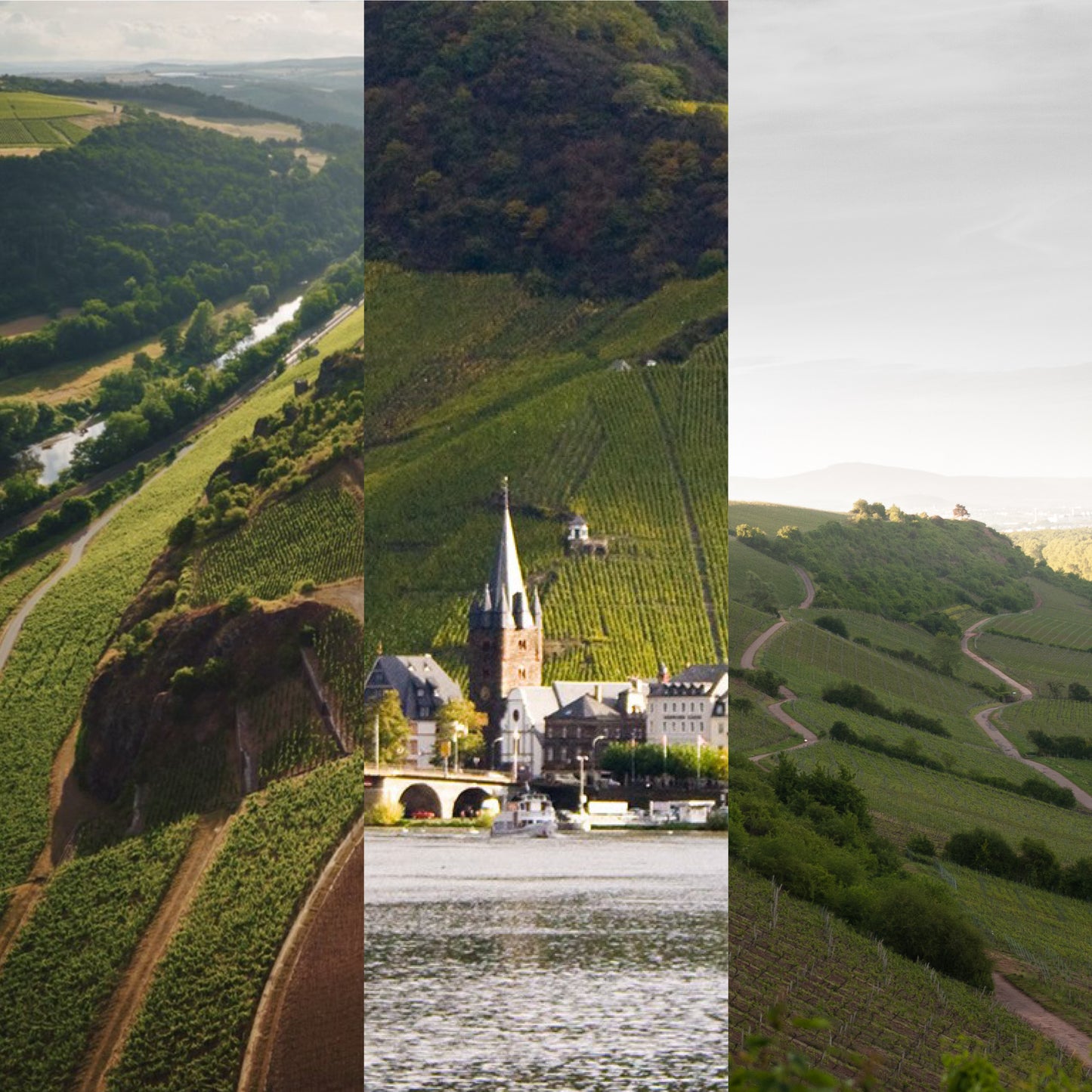 3 Winzerinnen - 3 Regionen - 3-mal Riesling GG