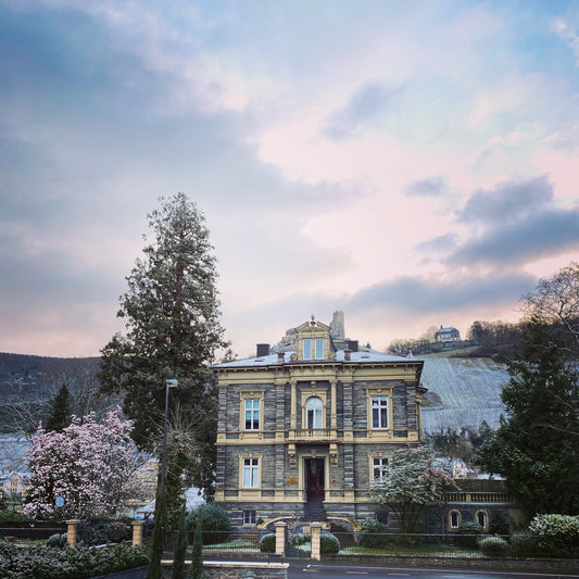 VILLA THANISCH WEIN-NACHT - Party und Probe